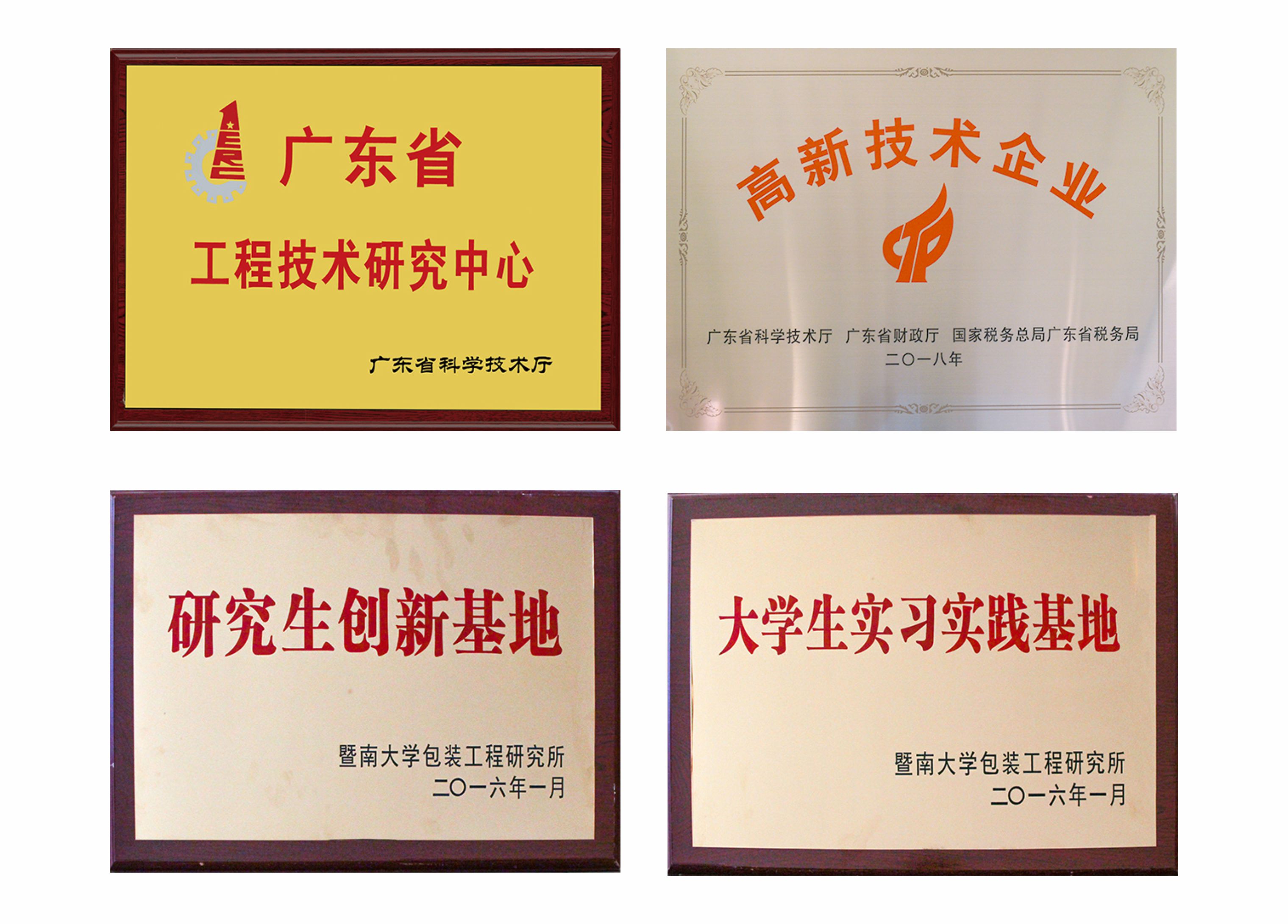 公司荣誉